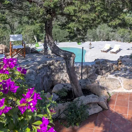 La Giulia Porto Cervo By Interhome 빌라 아르자케나